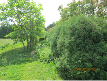 IMG 3361.JPG
