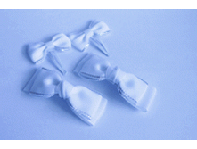 �������� a0295.  107 ���.