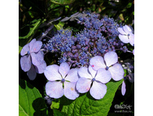 ��������� ��������� ��� ���� 180�