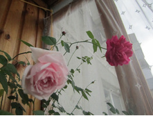 ���� 001.jpg