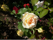 "�� "��������