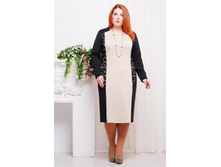 ������ CI ����