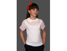 ������ D088-139, 599���.jpg