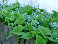 �������� ��������� 60���.jpg