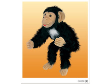 ��������� �����.jpg