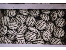 ����� ����� �������.jpg