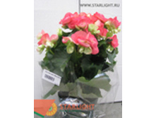 ������� �������� (30) 355.00