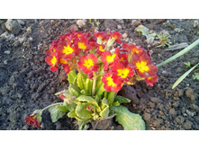 E8a30cfd5e24c5192262c3f74e78b82a322ac88d0964e6ea3a6999d4b5c119fa — �����.jpg