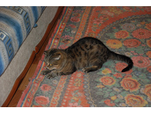 8.09.2013� �.���������. ��� (58).JPG