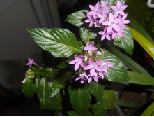DSCN2670.JPG