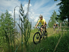 ��������  (25).JPG