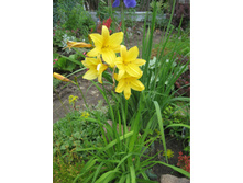 �������� ������ ������ �� ���