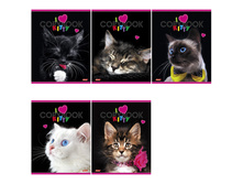 ������� 48�. �5 ������ I love kitty, ���������� ��-��� 18,45.jpg