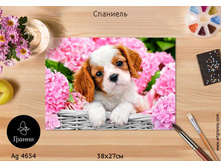 �������� - 891 ���.