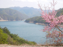 DSCN0740.JPG