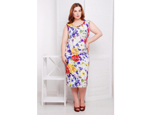 ������ CI ������