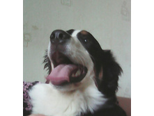 IMG 20160521 175615.jpg