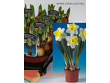 ������� �������� (20) 195.00