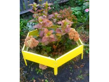 �������������� ����