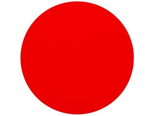 Professional 709.jpg