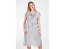 ������ 12117