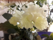 IMG 20160603 183535 1.jpg