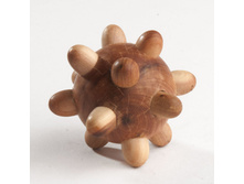 ���������� ������������ ����.jpg