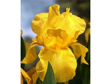 ���� ���������� �������� ����.150