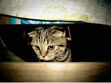 ���������� ������ 008.jpg