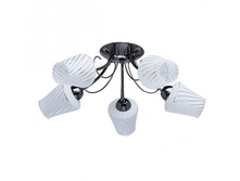 676011405 1900�.jpg