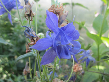 ������ 003.jpg