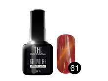 ����-��� TNL ������� ���� №61 ���� ����� (10 ��.).jpg