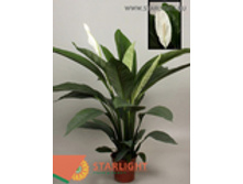 ����������� �������� (150) 2 995.00