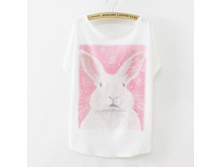 ����� 1884309016 (8) ������� ���� 590���.