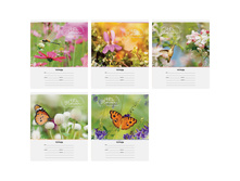 ������� 12�. ����� ����� �����. Tender flower 6,77.jpg