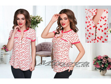 Minova 786 ������� 44,46,48,50 1366 ����