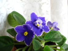 IMG 4849.JPG
