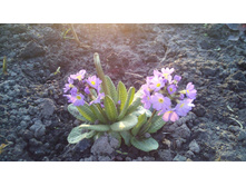 67684cb6f6cf7c0b05e84b4b0ca2b50cb7e8b3dc7e4eebc7b78c753ccdbac07d — �����.jpg