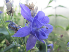 ������ 004.jpg