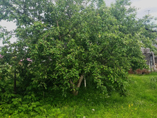 �������� . ����