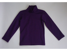 Phoca thumb l 16violet.jpg