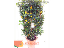 ��������������� ����� (180)