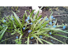 Ed12dcb305b0ee42f2414c17f8e177b1887feafe7caf513a2ff113543b975069 — �����.jpg