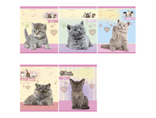 ������� 12�. ������ ����� ����� ������ � �������� 7,27.jpg