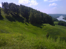 IMG 20160618 121226.jpg