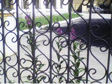 ������ ������.jpg