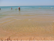 ���� ���� � ����