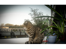 ����������� 039.jpg