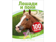 IMG aeb3851c673b.jpg