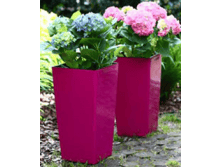 ������� ����������� ������ � ��������